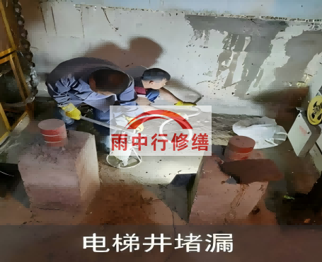 泰安星雨华府电梯井堵漏案例
