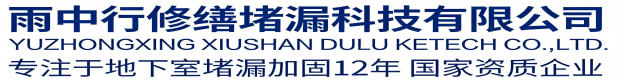 泰安雨中行修缮堵漏科技有限公司